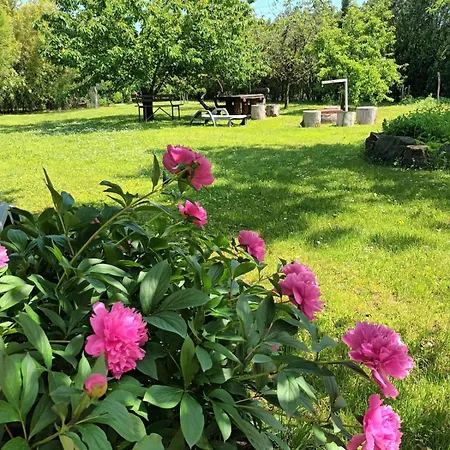 Appartement Tea Balatongyörök