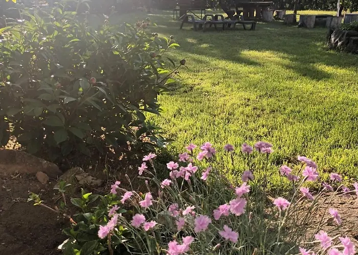 Apartament Tea Balatongyörök