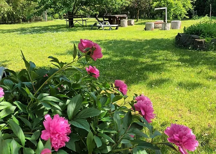 Apartament Tea Balatongyörök